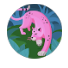 FOTO DE PERFIL GOOGLE