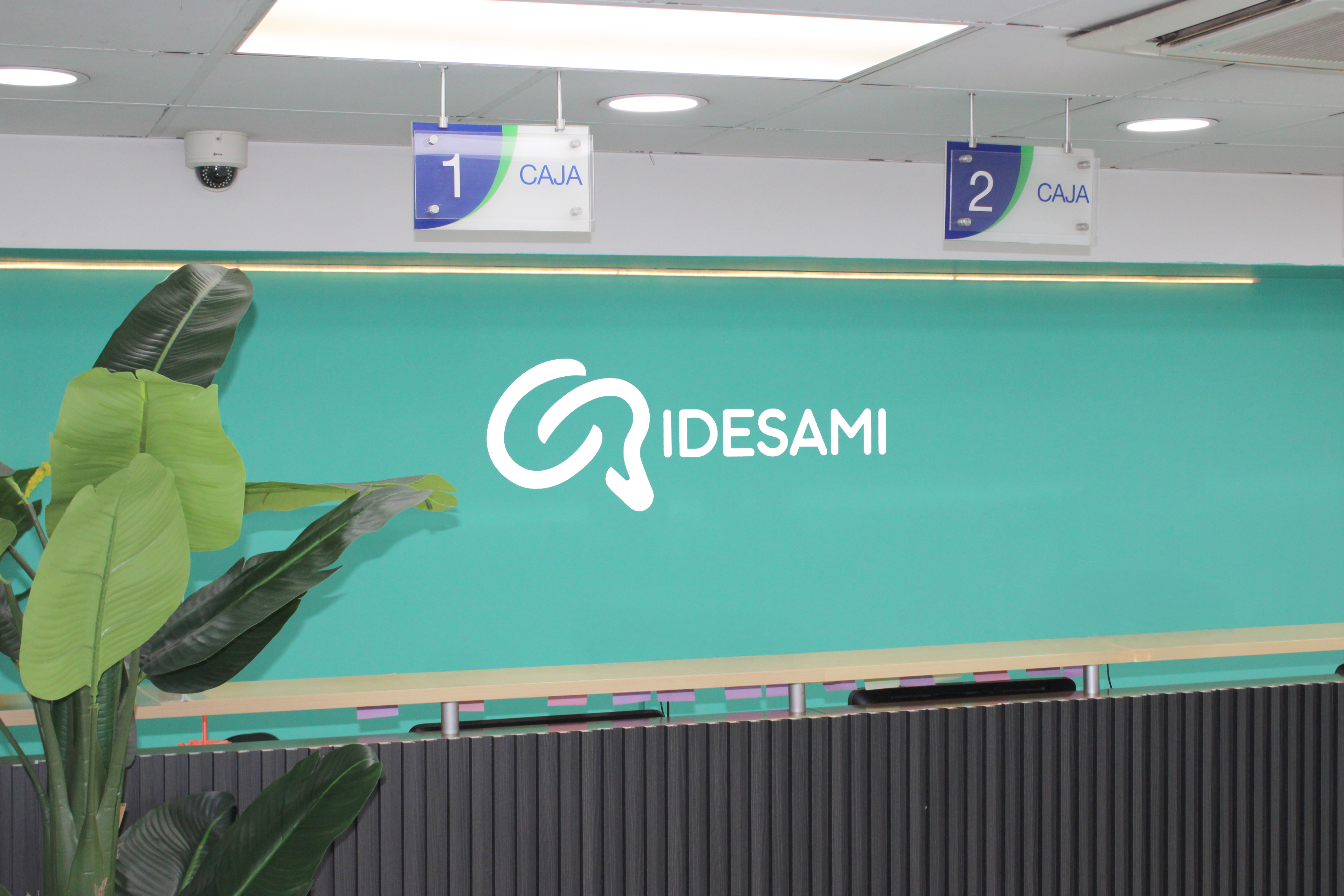 RECEPCIÓN IDESAMI